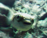 200605131550000.jpg